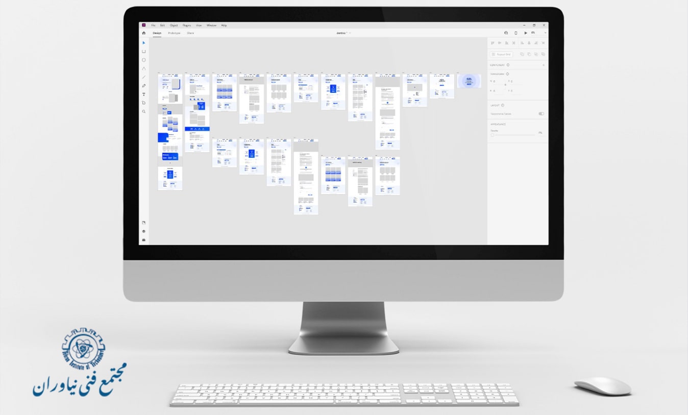 ادوبی ایکس دی
